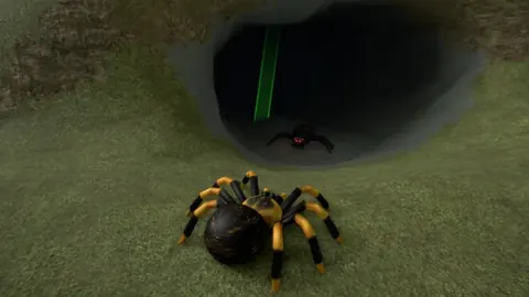 Bug Evolution FAQ: Leveling, Coins, and Survival Tips